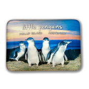 souvenir magnets