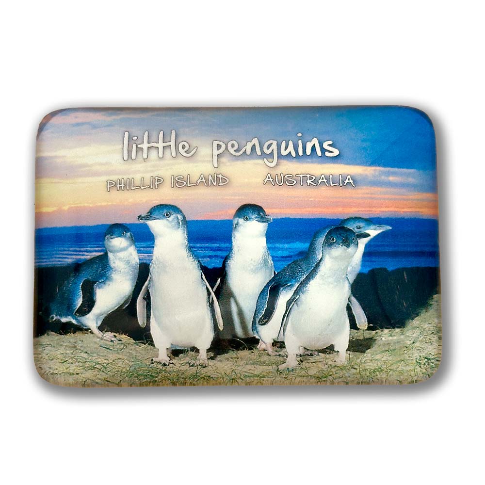 souvenir magnets