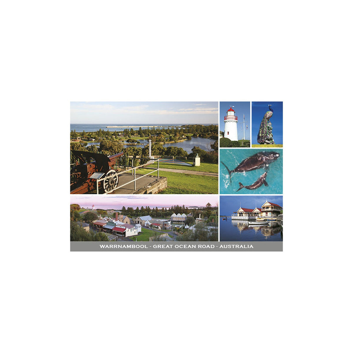 Warrnambool - Continental Postcard