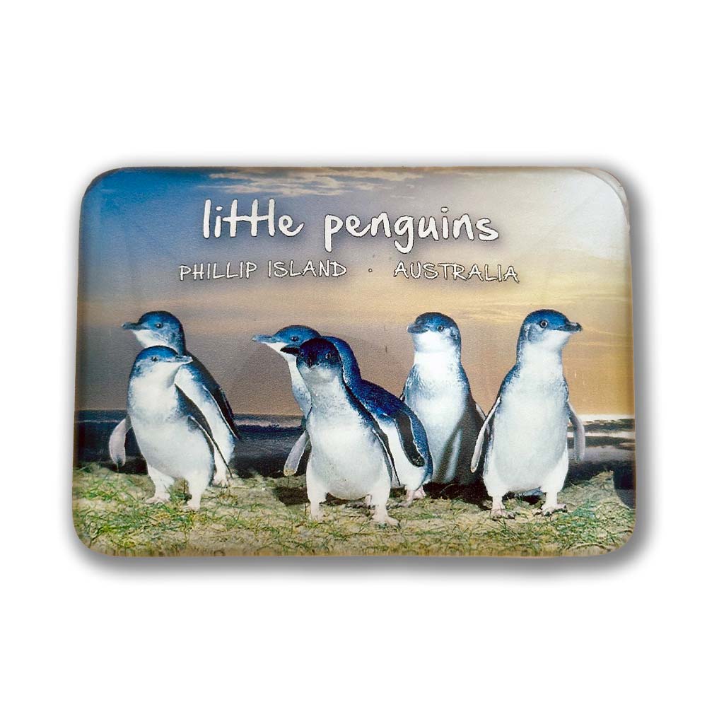 souvenir magnet