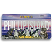 souvenir fridge magnets