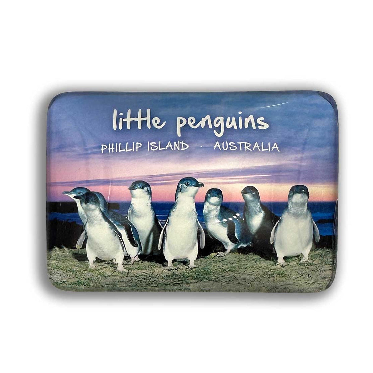 Purple Penguins - Glass Magnet