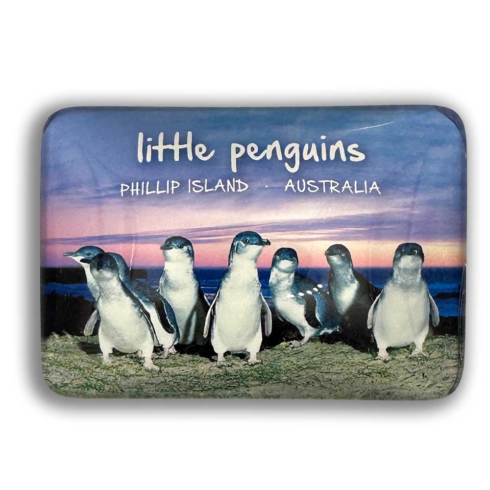 wholesale souvenir magnets
