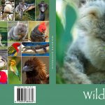 Aus-Wildlife-Book-Cover