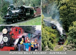 puffing billy souvenir