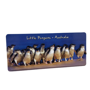 penguin magnet