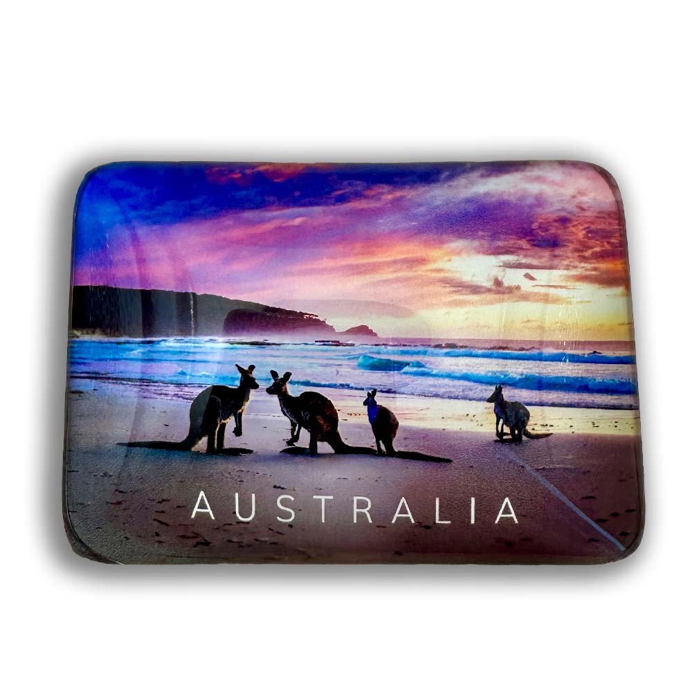 souvenir-fridge-magnets-australia